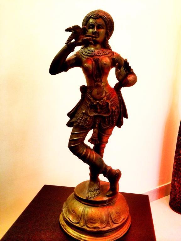 The Buddhayan Villa Jaipur Bagian luar foto